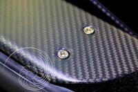 Carbon Side Strakes (DB9)