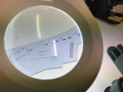 Sequential Back Light