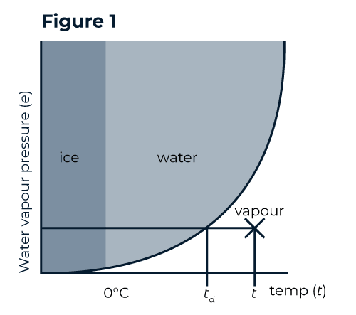Figure 1 - Water vapour pressure